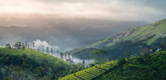 Vagamon