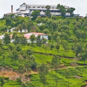 Coonoor