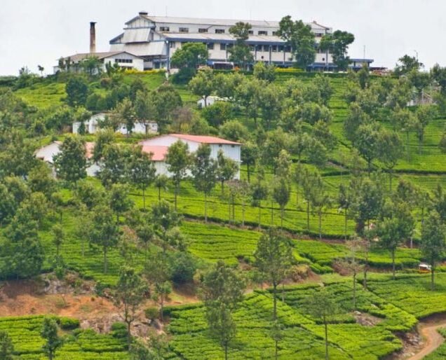 Coonoor