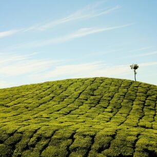 Munnar