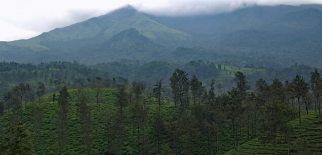 Wayanad