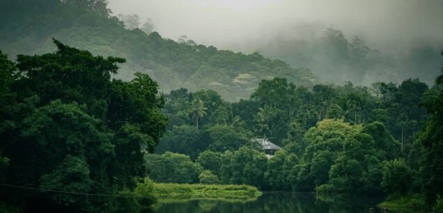 Thekkady